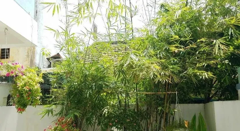 Хойан: Phuong Anh Hoi An Homestay