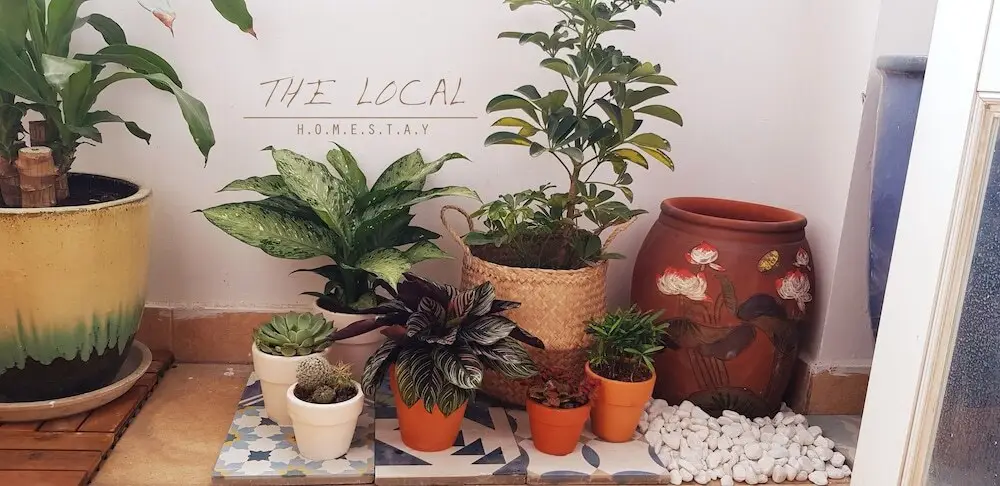Хошимин: The Local Homestay