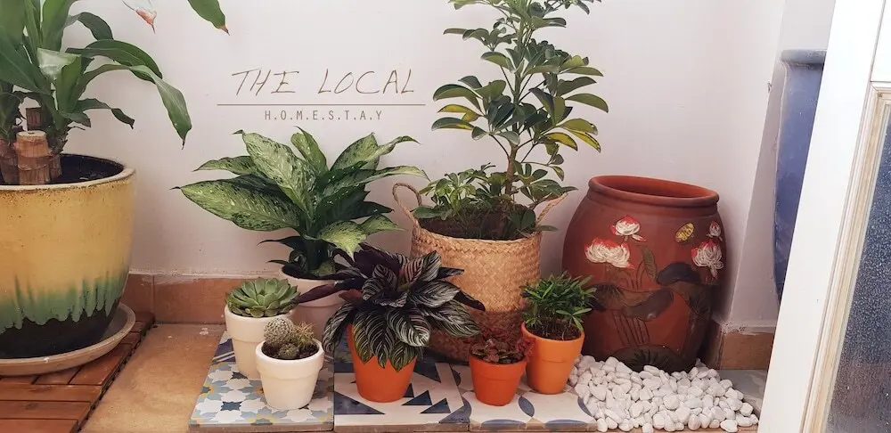 Хошимин: The Local Homestay