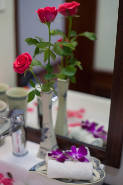 Ханой: Hanoi Hanvet Hotel