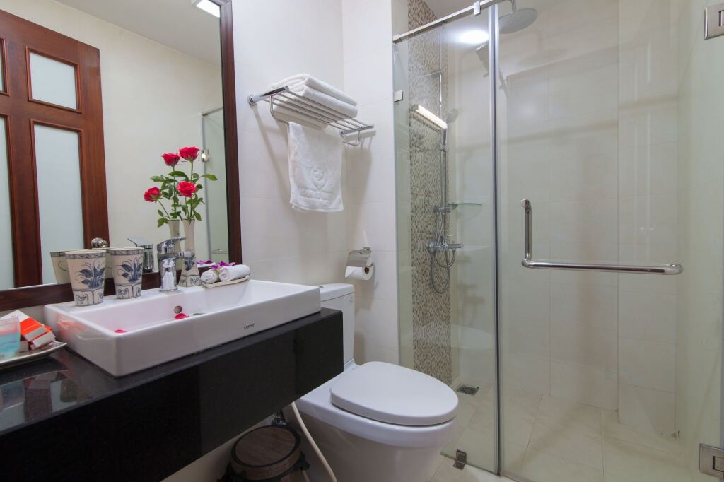 Ханой: Hanoi Hanvet Hotel