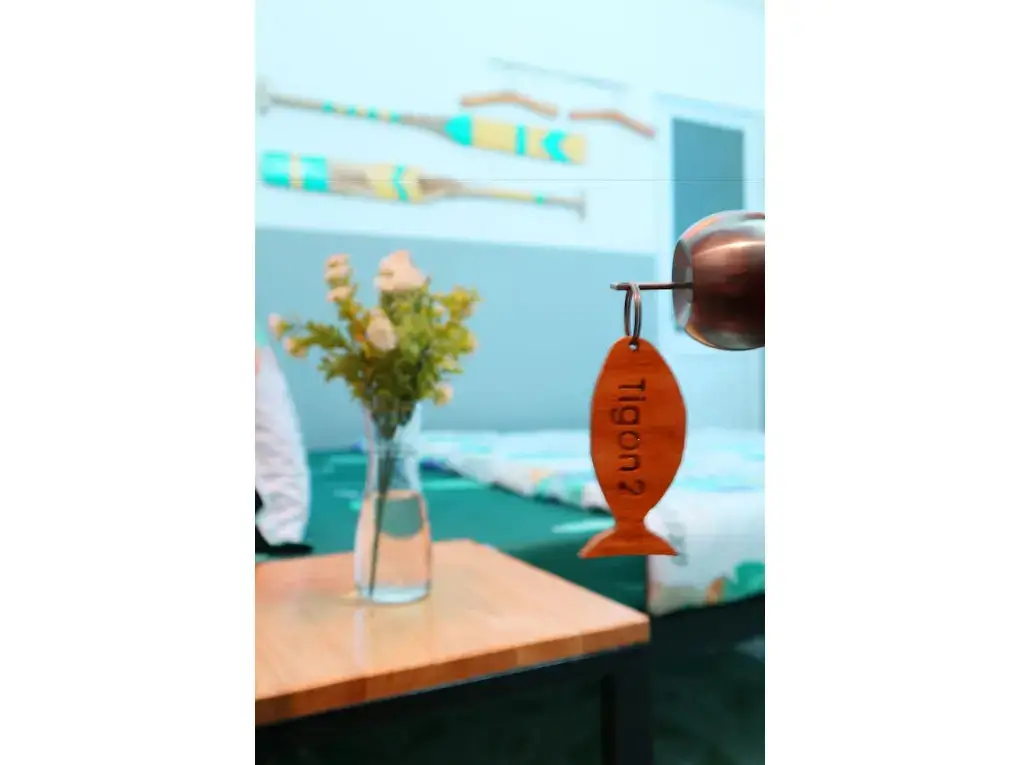 Куинён: Tigonhouse Hostel