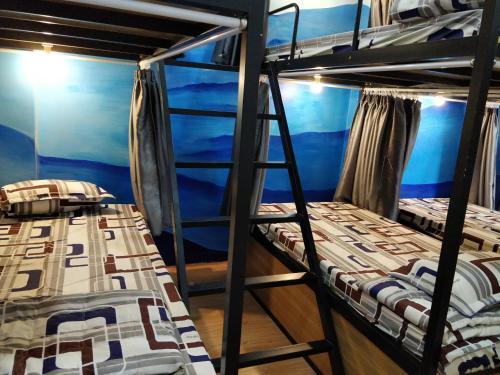 Нячанг: Le Petit Prince Nha Trang Hostel