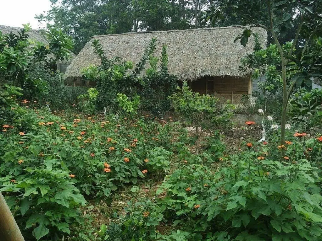 Дуонг-Лам: Family Homestay Ba Vi - Hostel