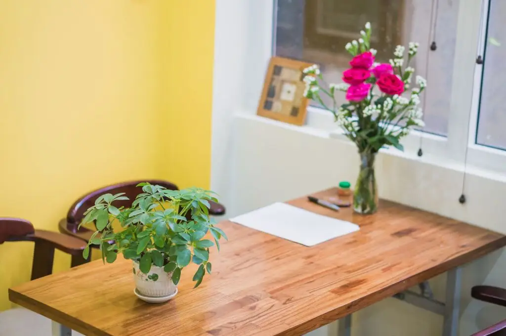 Дананг: Dango Hostel