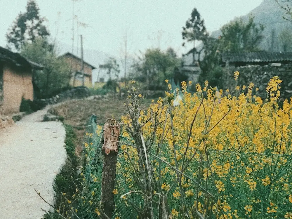 Донг Ван: Homie Homestay - Hostel