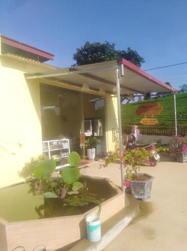Мак Чау: Homestay Làng Chè 69