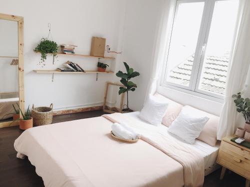 Дананг: Starry Night Hostel
