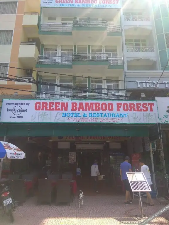 Green Bamboo Forest Cat Ba — фото 1