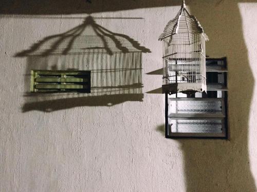 Eco-Chi Homestay — фото 1