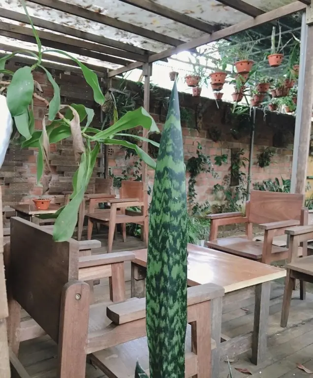 Плейку: Hani House