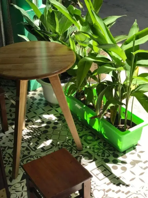 Хюэ: Sala Homestay Hue