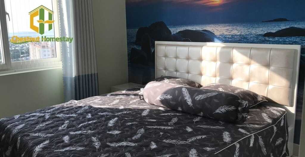 Вунгтау: Chestnut Homestay