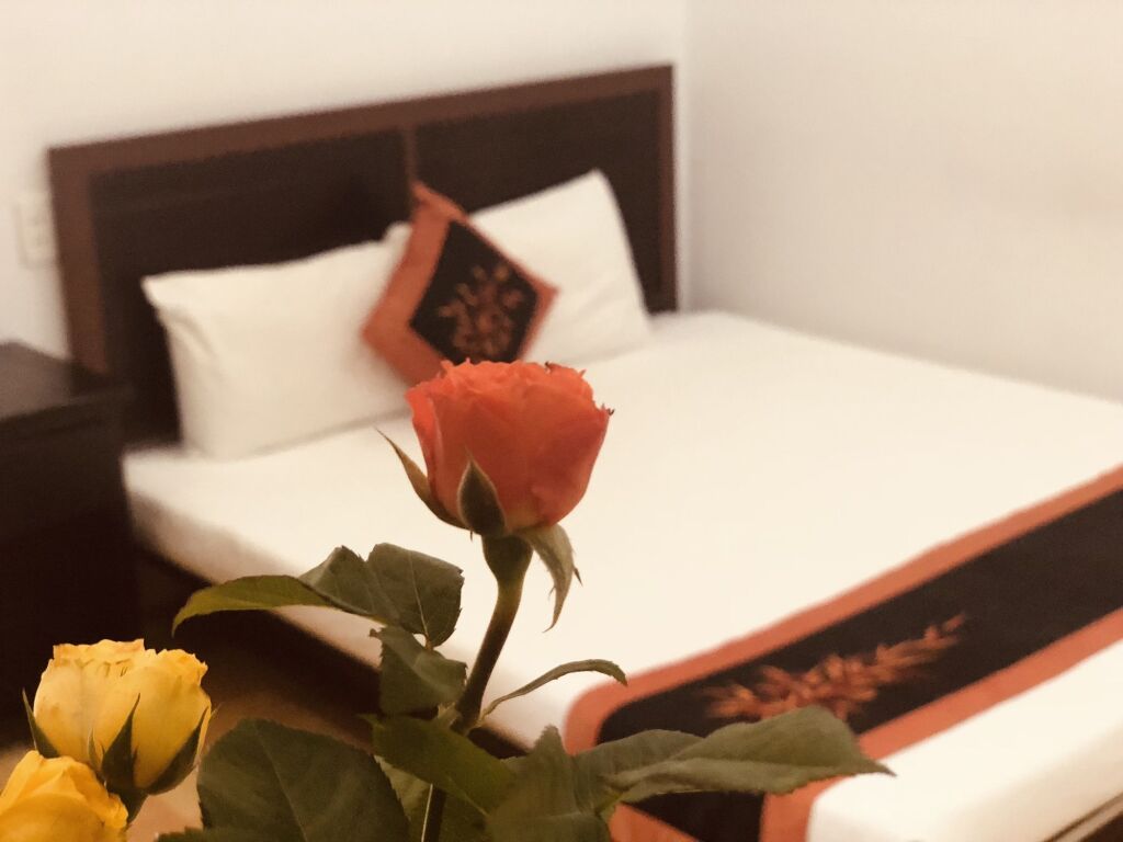 Хойан: Tammy Hostel