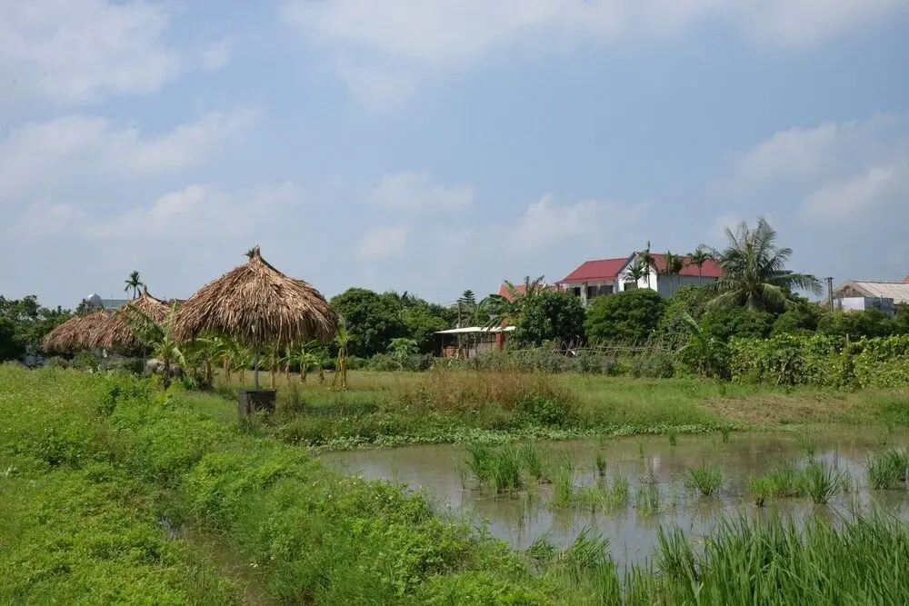 Ханой: Viet Farm Homestay