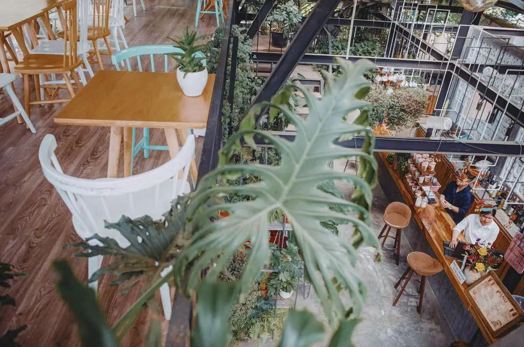 Далат: Lalaland Homestay - Hostel