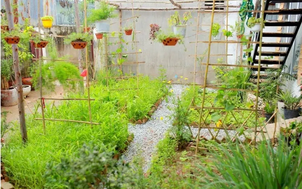 Национальный парк Nui Chua National Park: Peace Home - Hostel