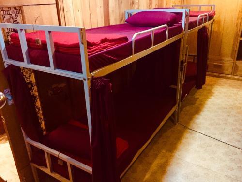 Хайфон: Hai Phong Woody Garden Hostel