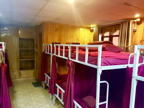 Хайфон: Hai Phong Woody Garden Hostel