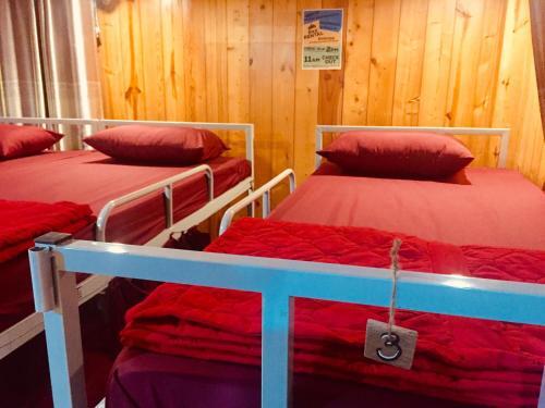 Хайфон: Hai Phong Woody Garden Hostel
