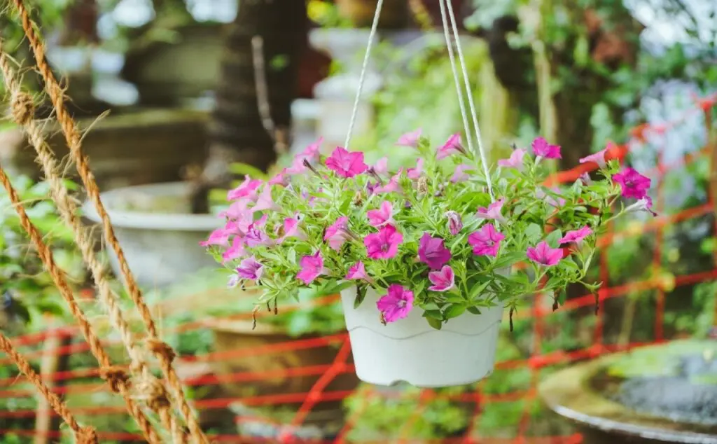 Хюэ: T'Garden Homestay