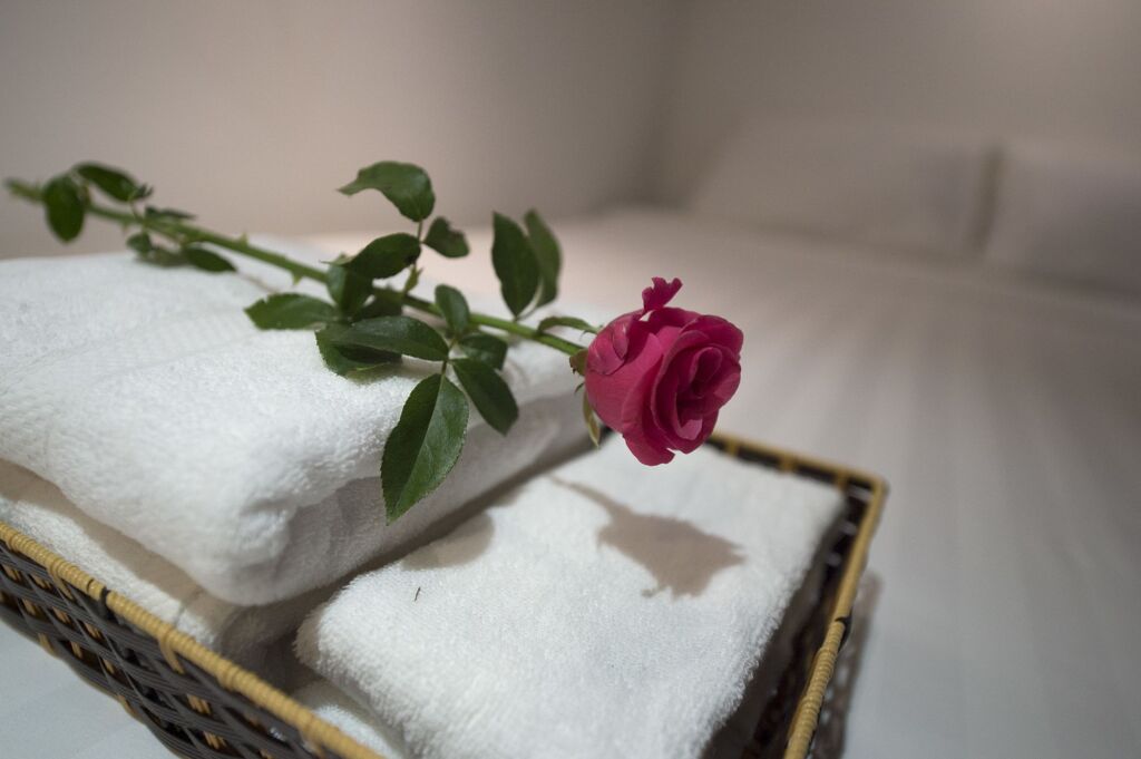 Ханой: Harmony Homestay Vintage of Old Quarter