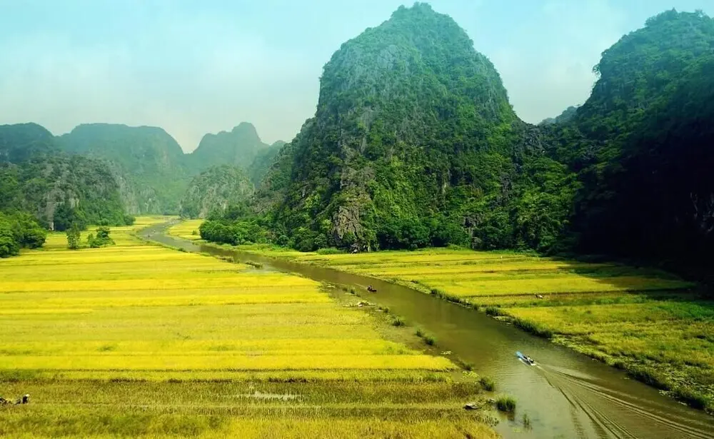 Хоа Лу: Tamcoc Golden Rice
