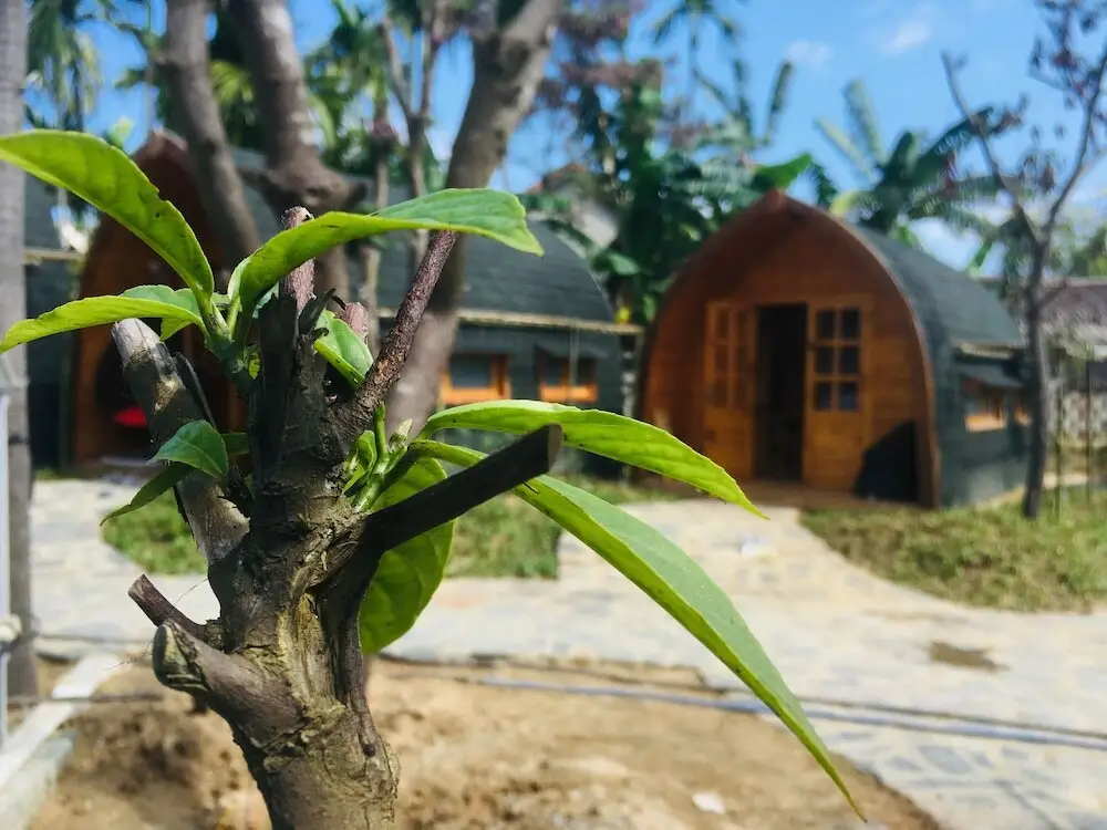 Хойан: CoCo Farm Hoi An