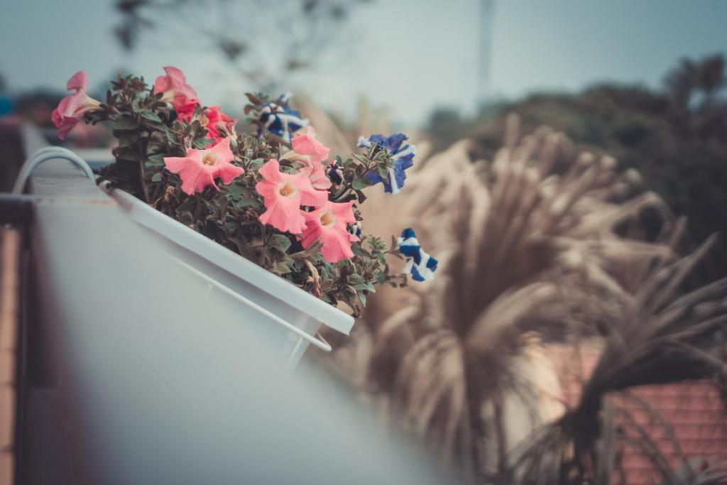 Хоа Лу: Sunny Trang An Homestay