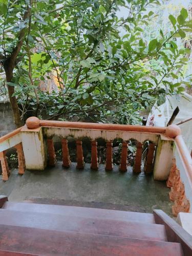 Хазянг: Thao Ly Homestay - Hostel