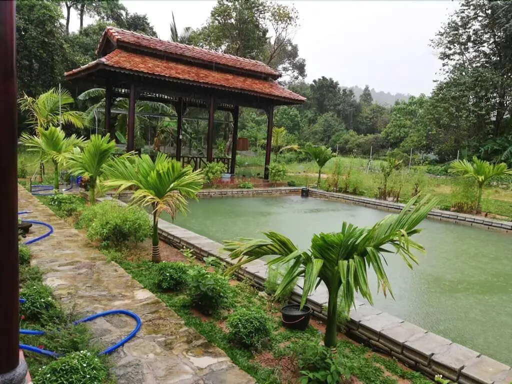 остров Фукуок: Areca Garden Bungalow