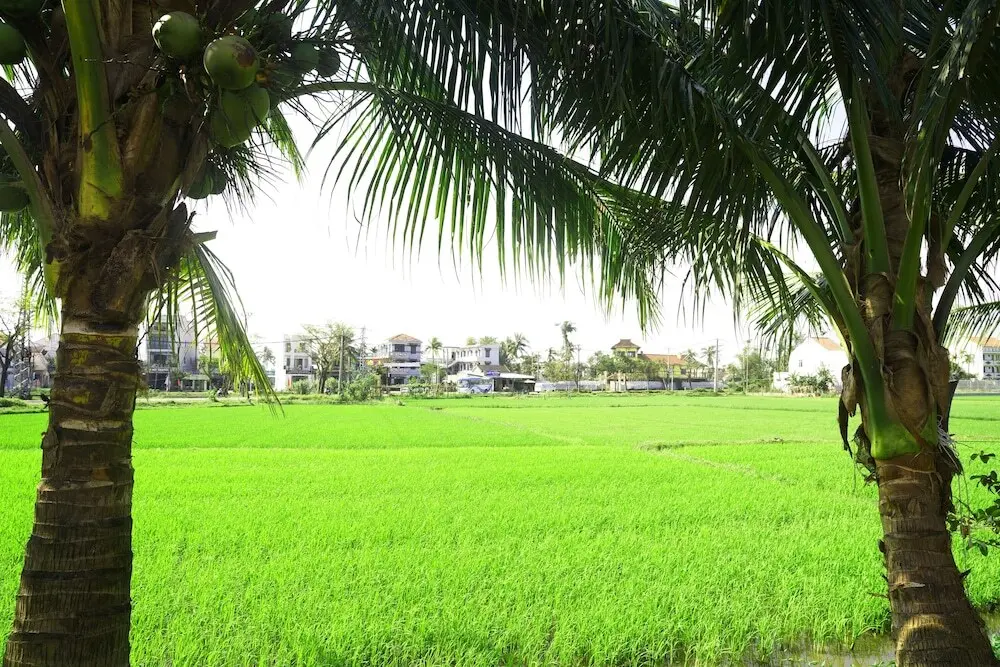 Хойан: Hoang Y Homestay