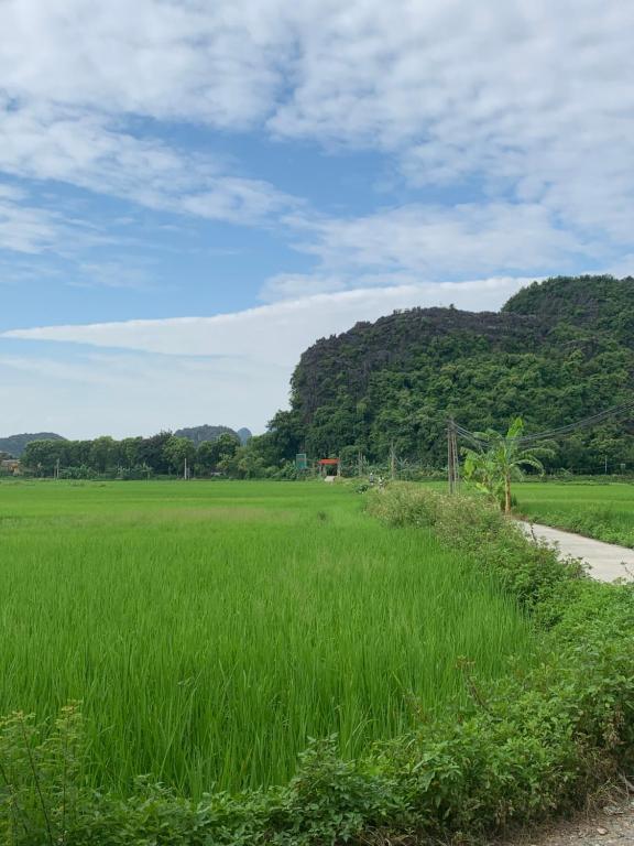 Хоа Лу: Tam Coc Wonderland Bungalow