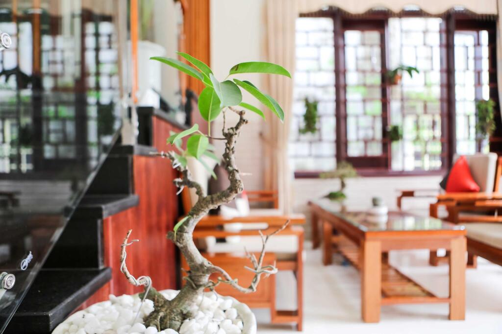 Острова Чам: Viet Nhat Homestay