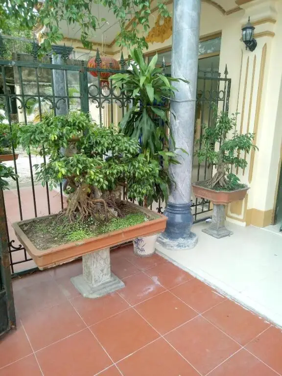 Хаулок: Tai Hoa Motel