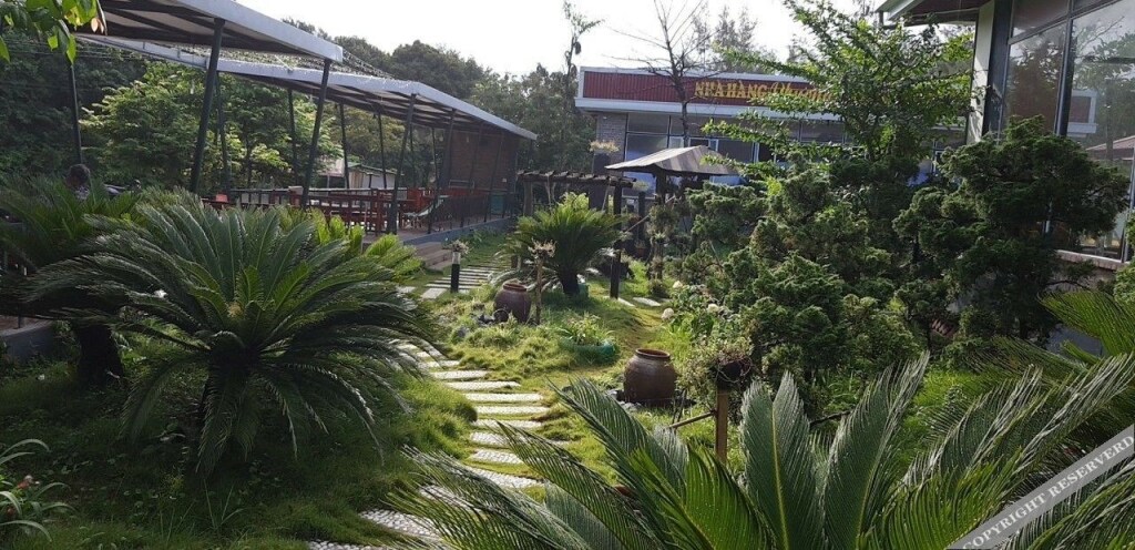 Ко То: Hoang Trung Co To Hotel