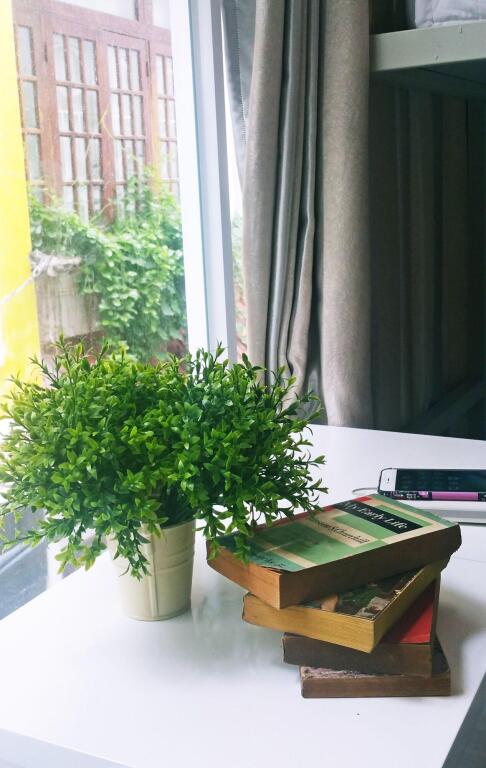Хошимин: BohoLand Hostel