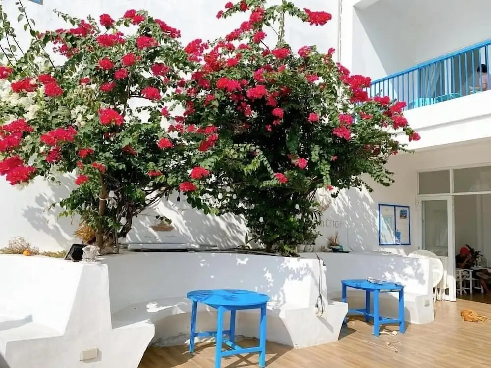 Камрань: Blue Anchor Lodge & Cafe-Binh Ba Island