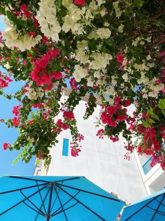 Камрань: Blue Anchor Lodge & Cafe-Binh Ba Island