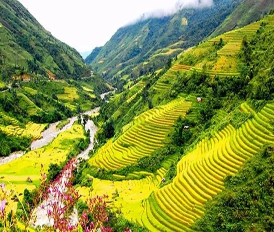 Шапа: Sapa Mountain Queen House