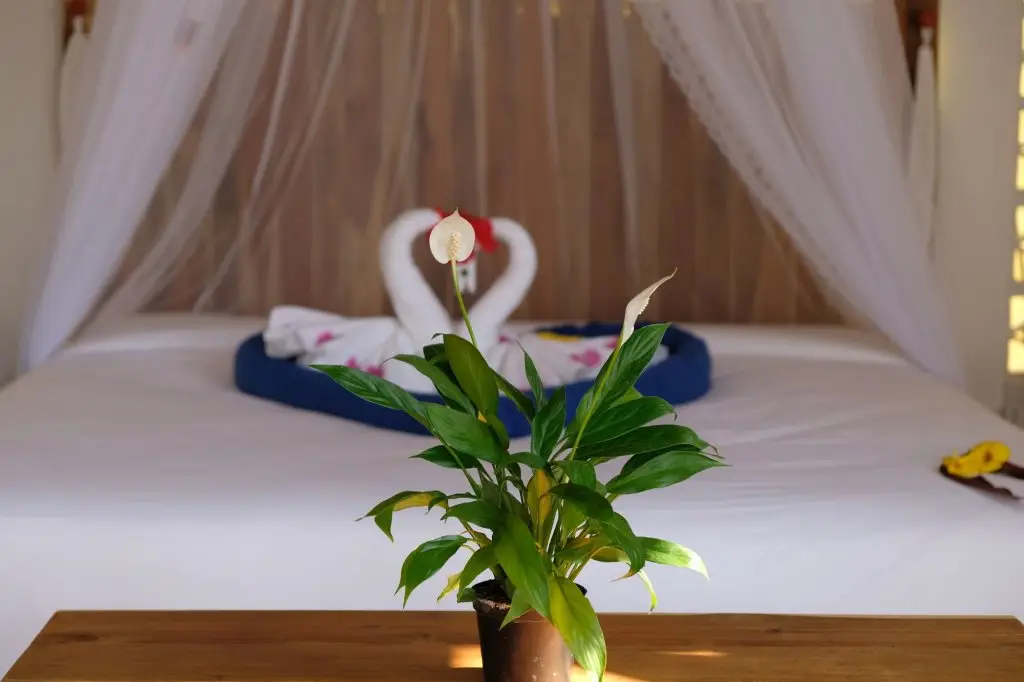 остров Фукуок: Phu Quoc EcoLodge