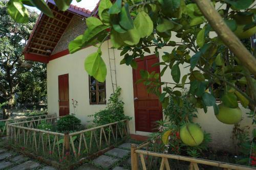 Хоа Лу: Xuan Lai Right View - Hostel