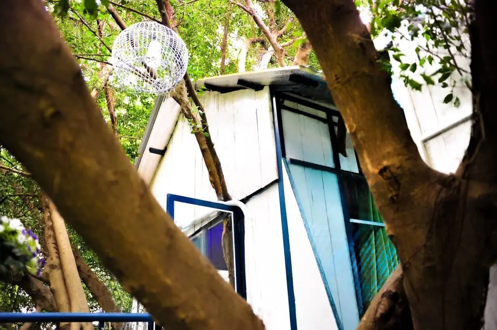 Dao Anh Khanh Treehouse — фото 1