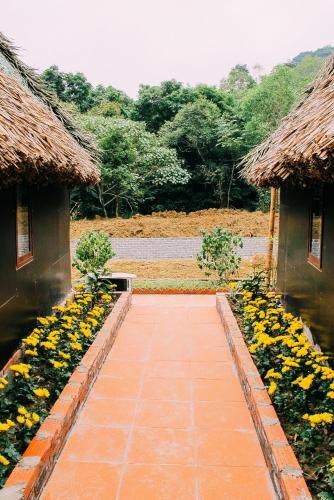 Хайфон: Hoi Lake Farmstay