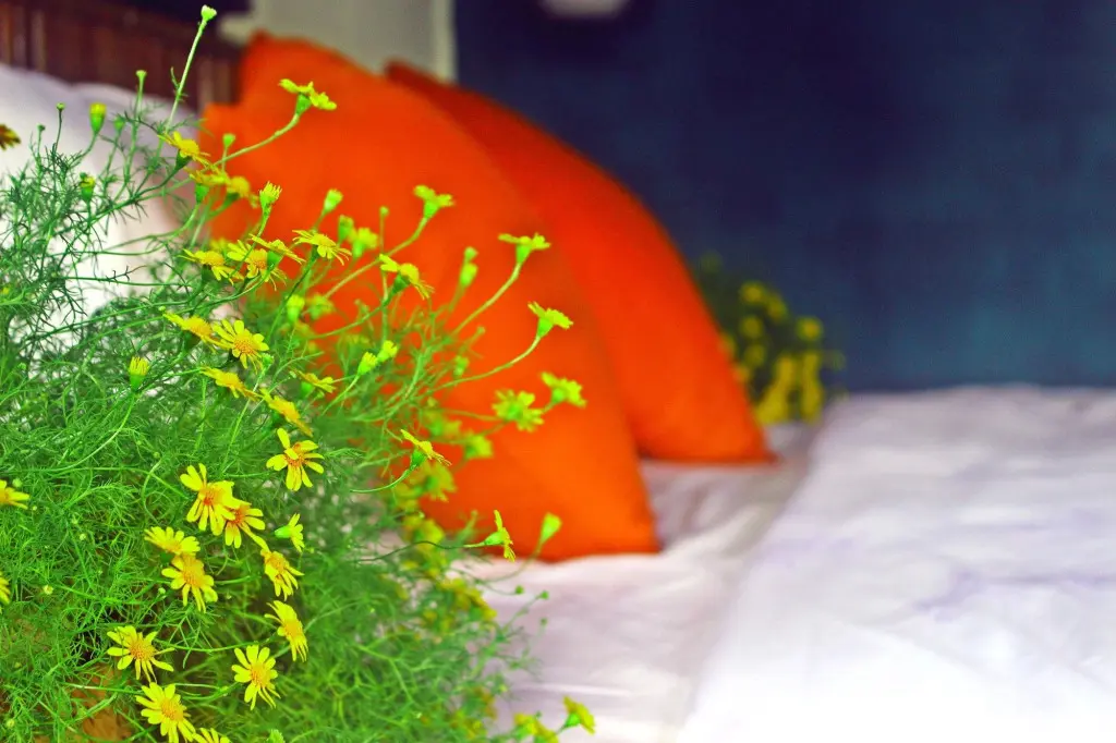 Хойан: Home Farm Villa Hoi An