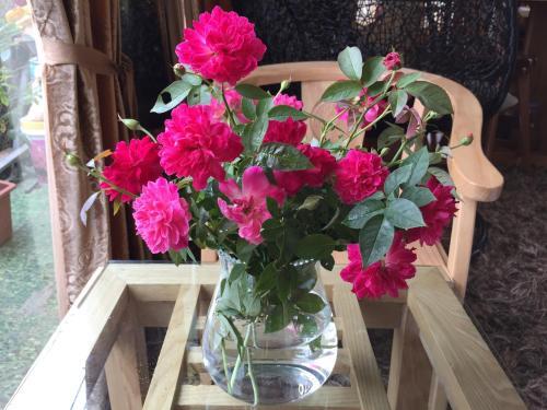 Ханой: La Rose Apartment
