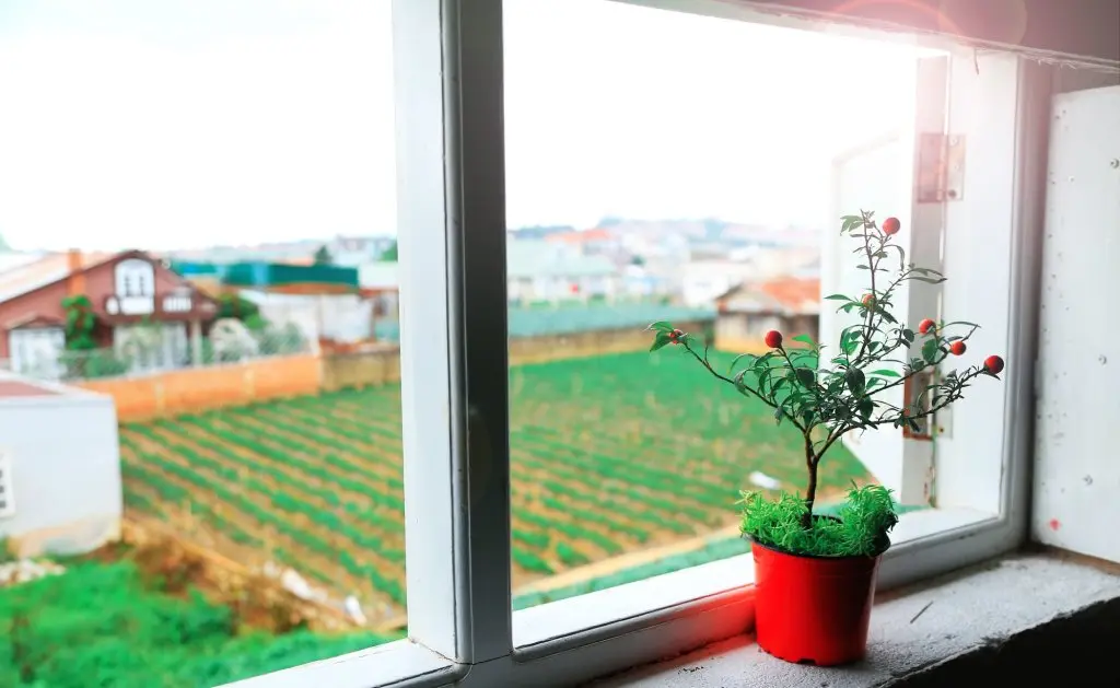 Далат: Hoai Huong Homestay