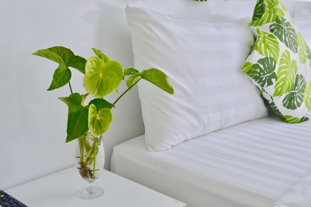 Далат: Canary House Dalat Hotel