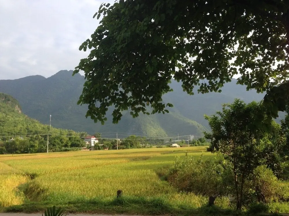 Маи-Чау: Mai Chau Ecohouse - Guest House
