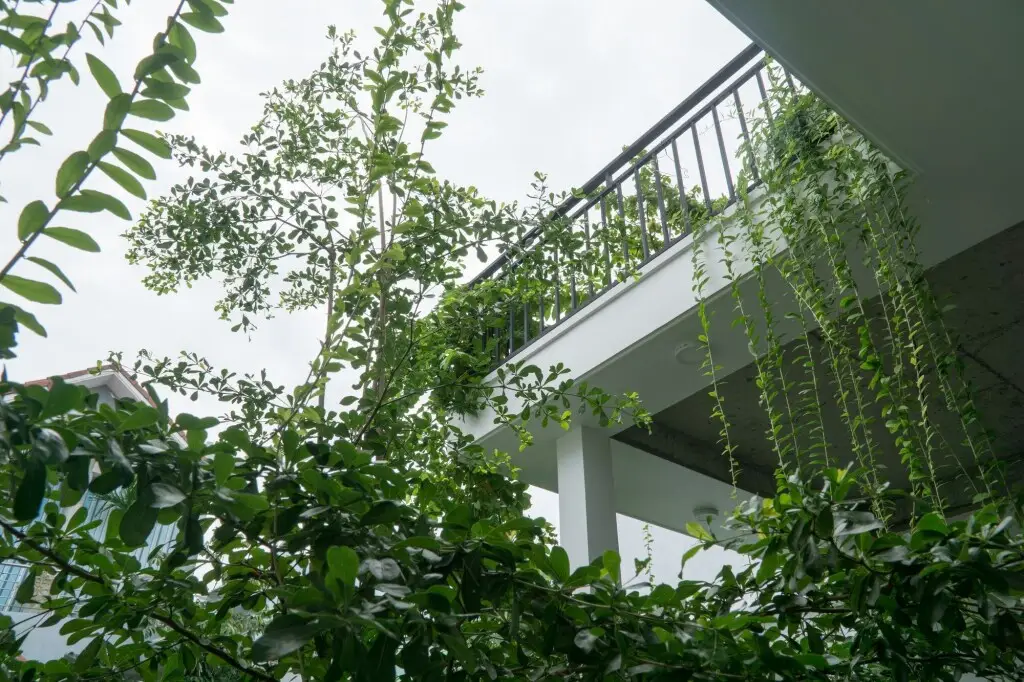 3BR Green and Artistic House in Da Nang — фото 1